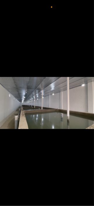 Миракида Дача Дам олиш маскани сотилади