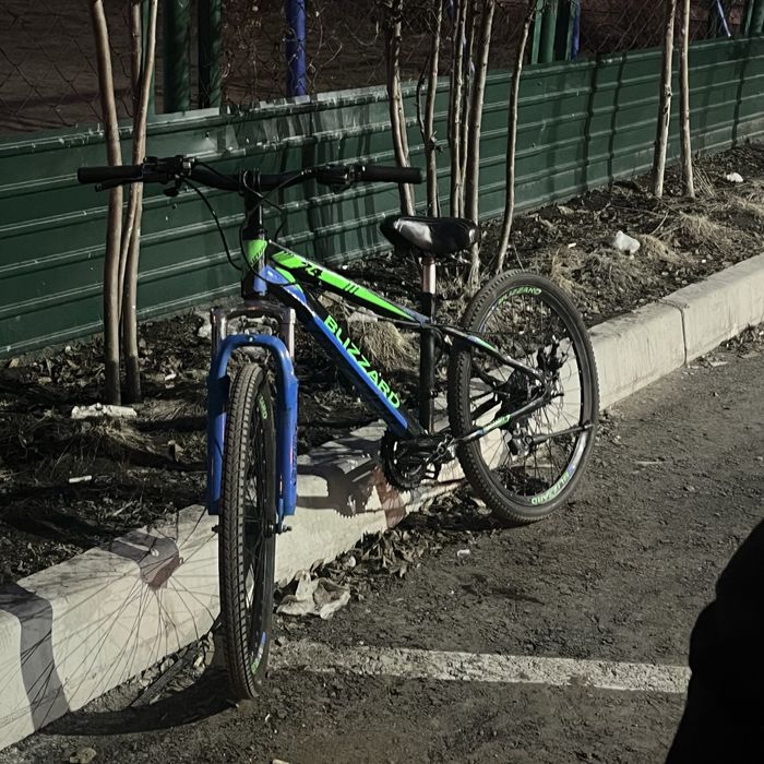 Велопсипед Blizzard