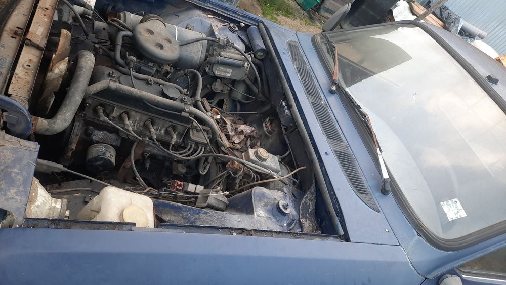 Motor dacia papuc