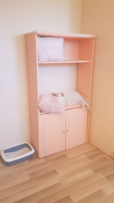 Хотел за котки в Пловдив