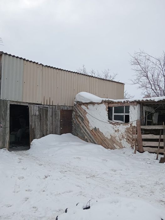 Продам дом сарай