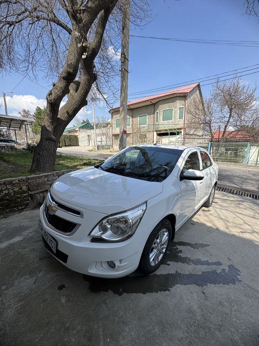 Kobilt Sotiladi 2024-25