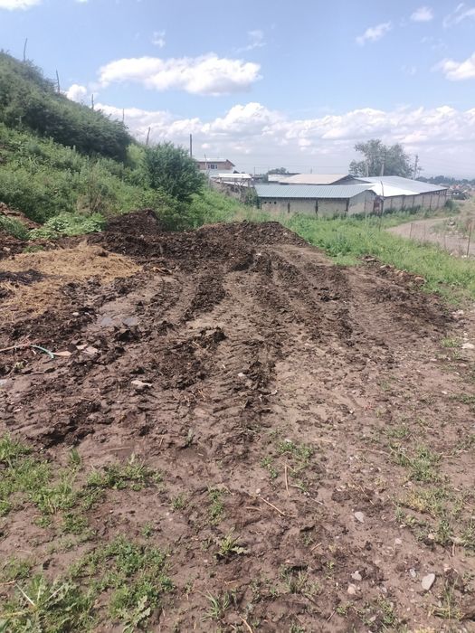 К.х 125 соток. Дом и ферма 30 на 10 для КРС