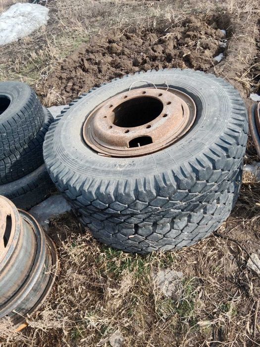 Продам шины на Камаз