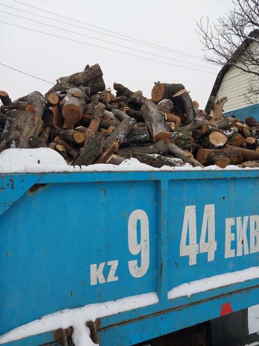 Дрова яблони, пиленые