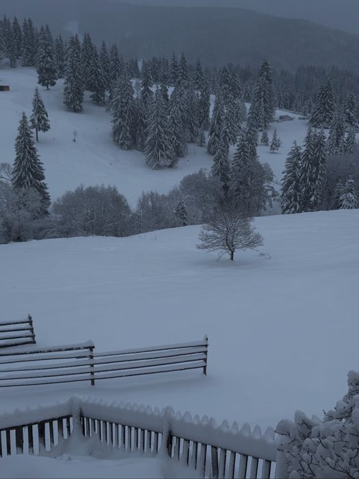 Teren de vanzare la munte in Bucovina