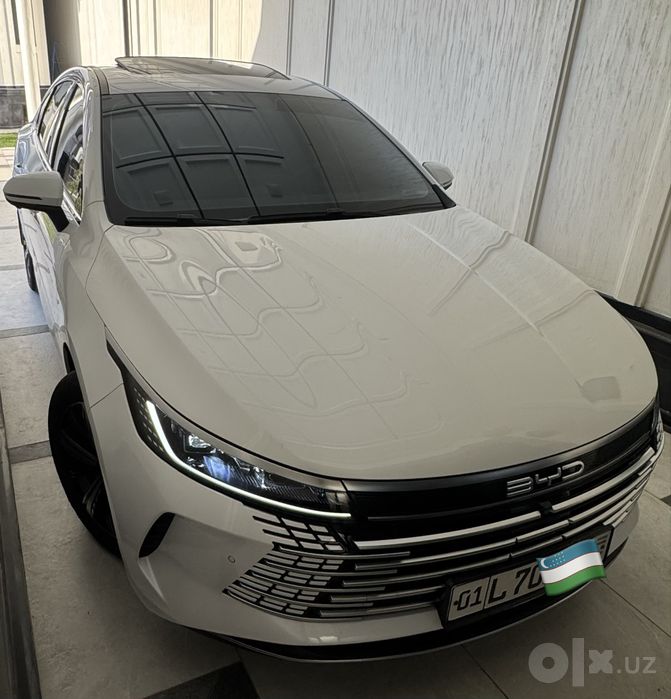 Byd chazor 120 tokda 2024