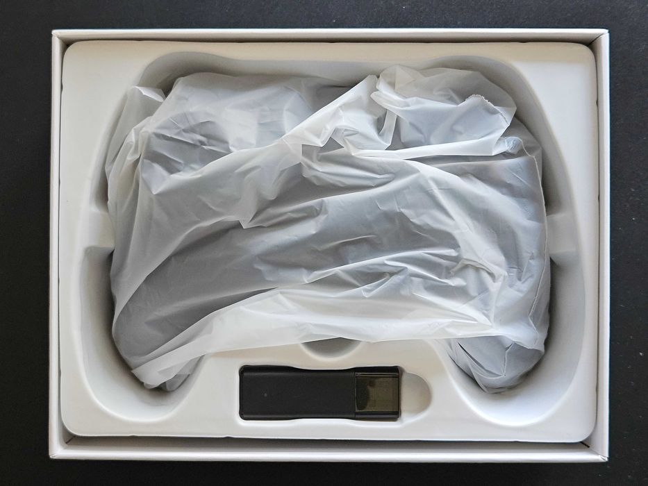 Controller Anbernic RG P01