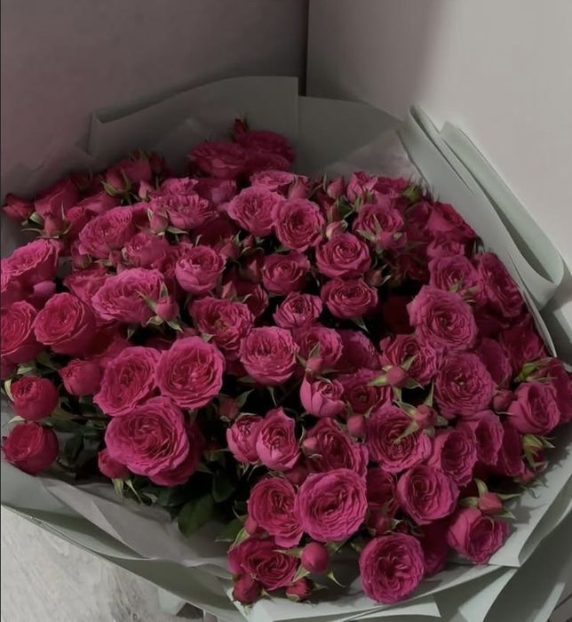 срочно продаю цветы свежиее!