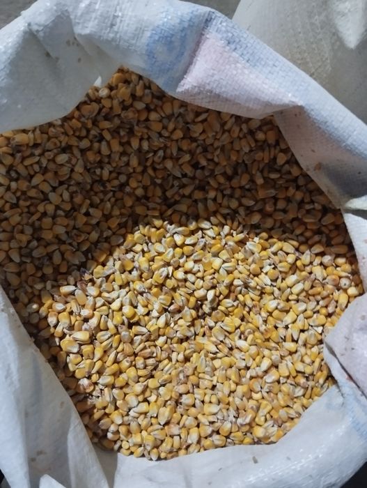 Комбикорм, услуга дробилки