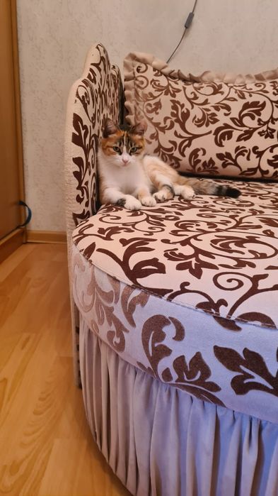 Тахта раскладная (2 шт)
