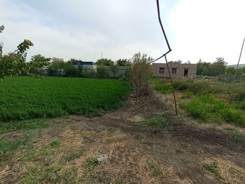 Tugallanmagan yer uchastkasi