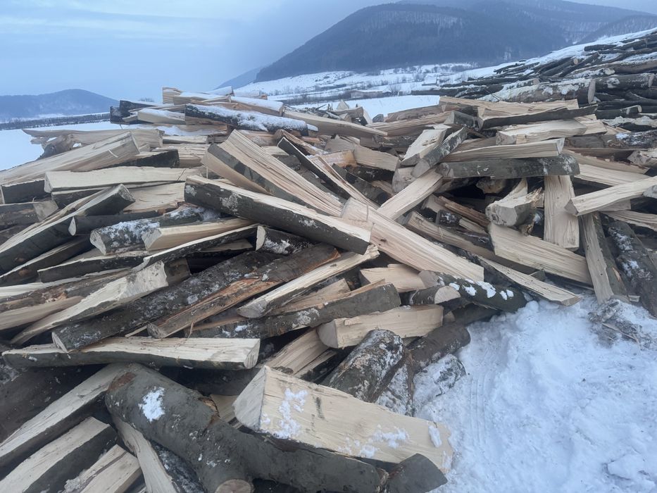 Vând lemne de fag !