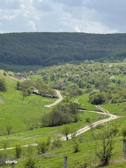 Teren intravilan, 1100mp, zona Valea Sanislau