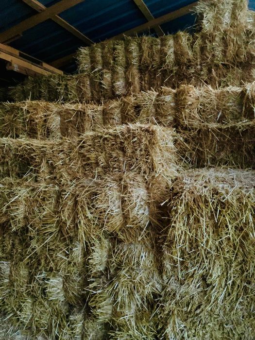 Baloți din paie de grâu