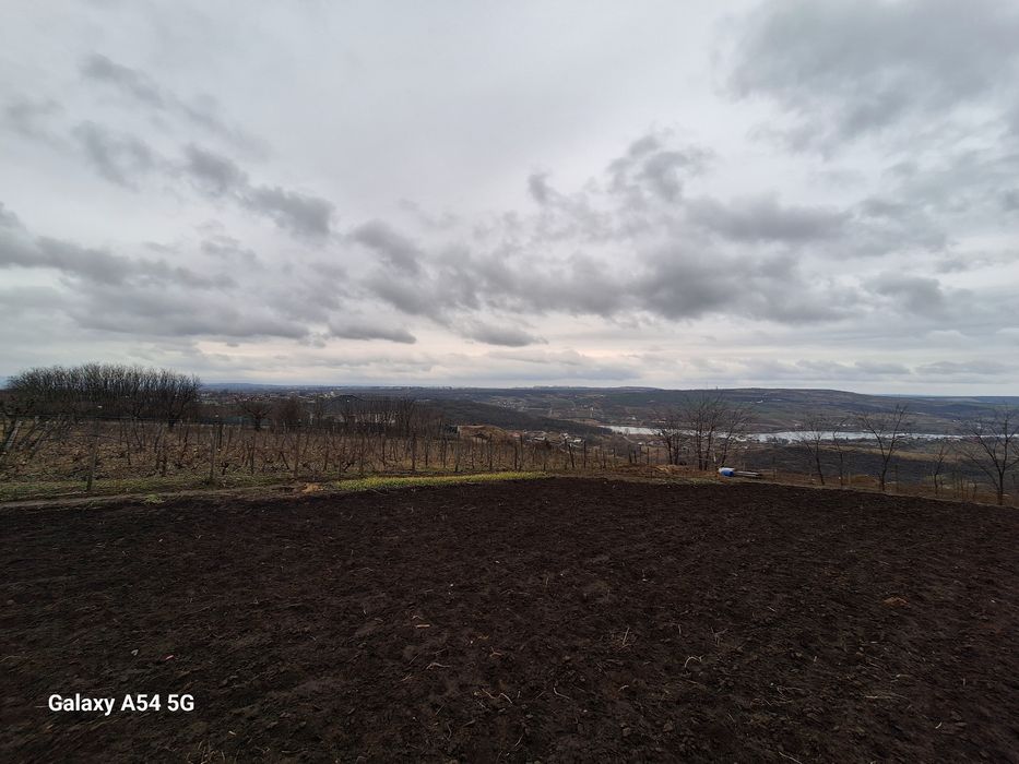 Teren Aroneanu 1000mp, intravilan