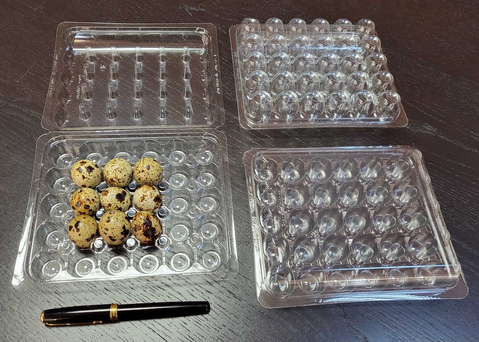 Cofraje caserole 12, 21, 24 si 30 oua prepelite pe stoc