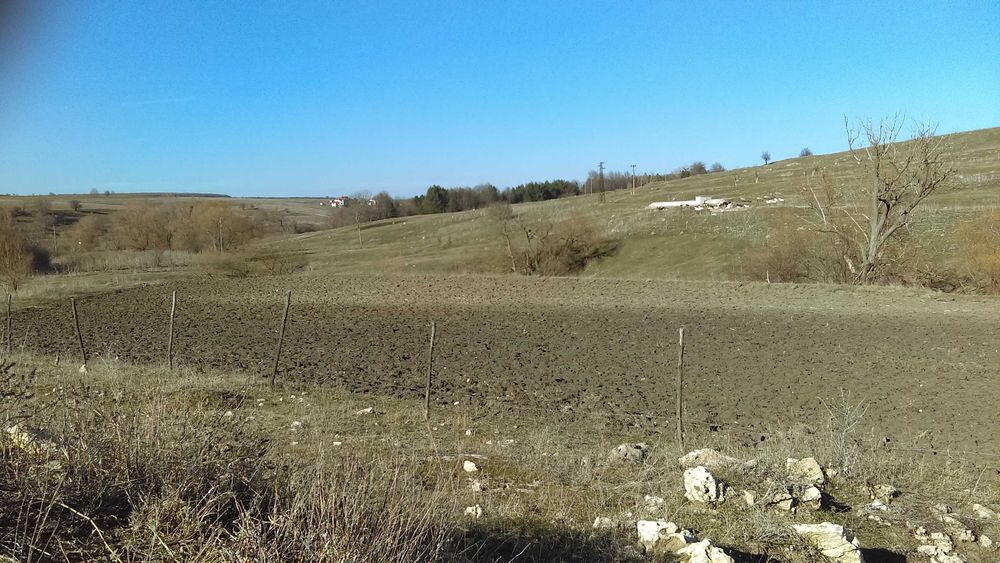 Продава се Земеделски имот в с. Николаевка, Област Варна -  кв.м за 4200 €/дка - Снимка #4