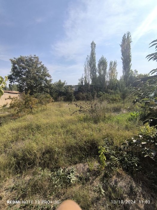 Chek sotiladi Andijon