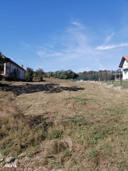 Teren Intravilan Merilor 33,29 ari