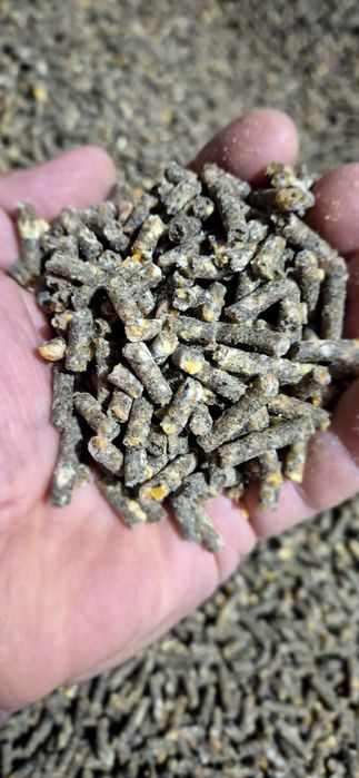 Furaj Granulat PREMIUM Pui Carne, 100% Natural