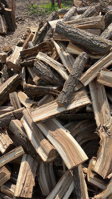 Карагач,тополь дрова