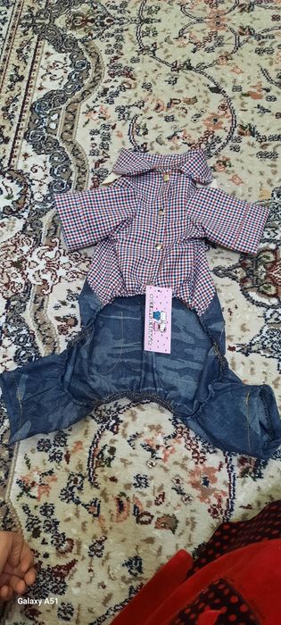 Сабака и кошки одежда