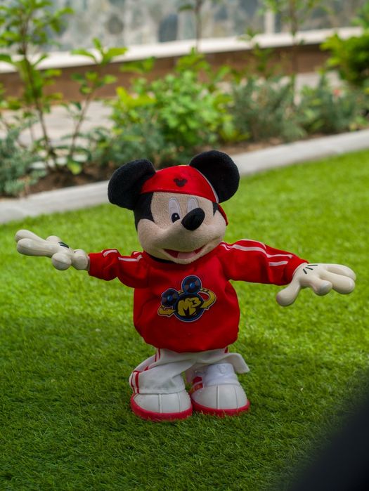 Olympus OMD EM5 MKII + Olympus  45MM/F1.8 + външна светкавица