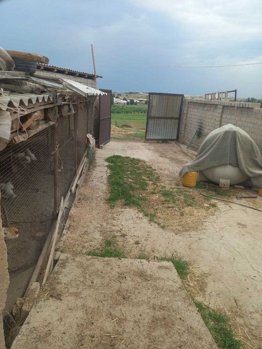 Ферма сотилади! Тошкент туманида (ориентир Сарке махалла)