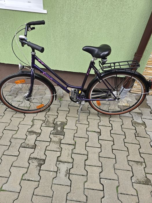 Biciclete     Mountain bike