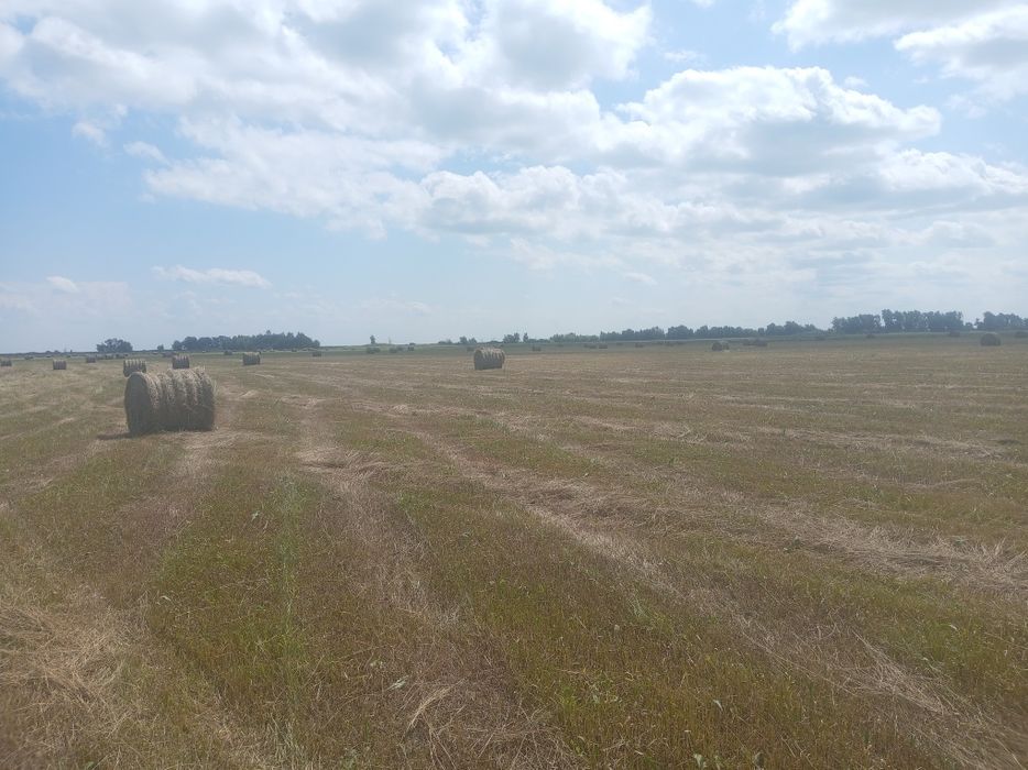 Продам пресс подборщик 120*120