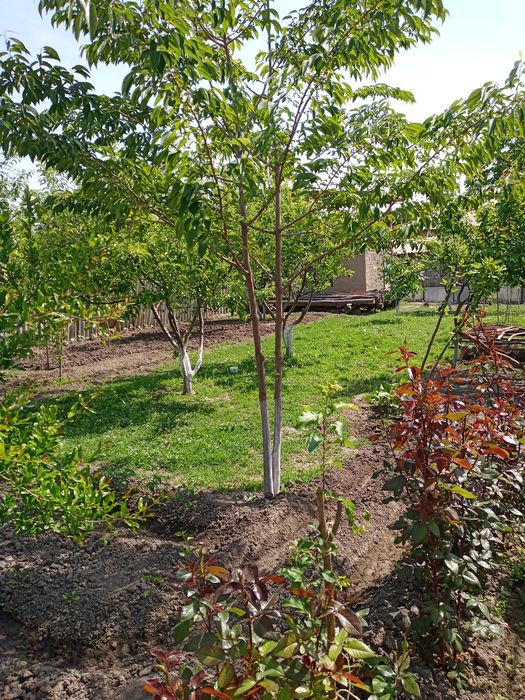 Срочно продам свой дом