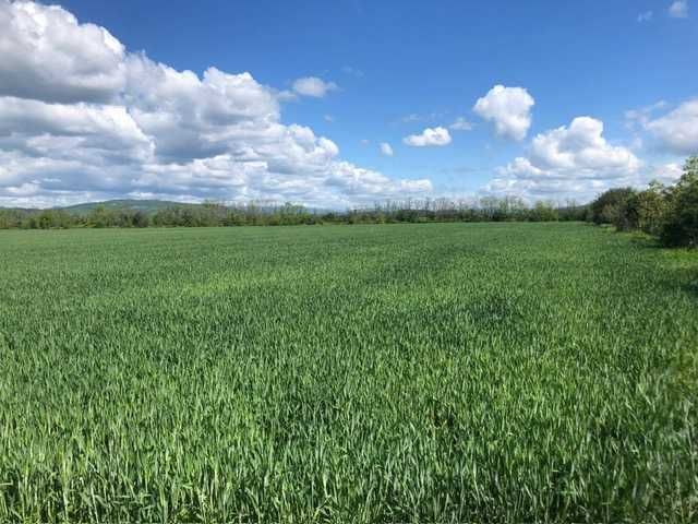 Teren arabil agricol Zamfira langa Ploiesti 7.300 mp cu 18.500,- Euro