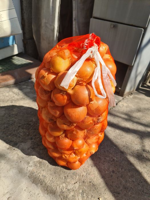 Лук репчатый мешок