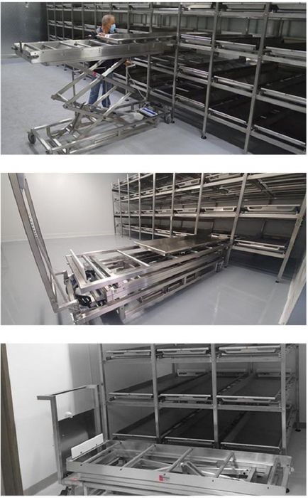 Патологоанатомия кассеты