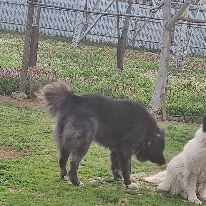 Продавам майка, баща и  син