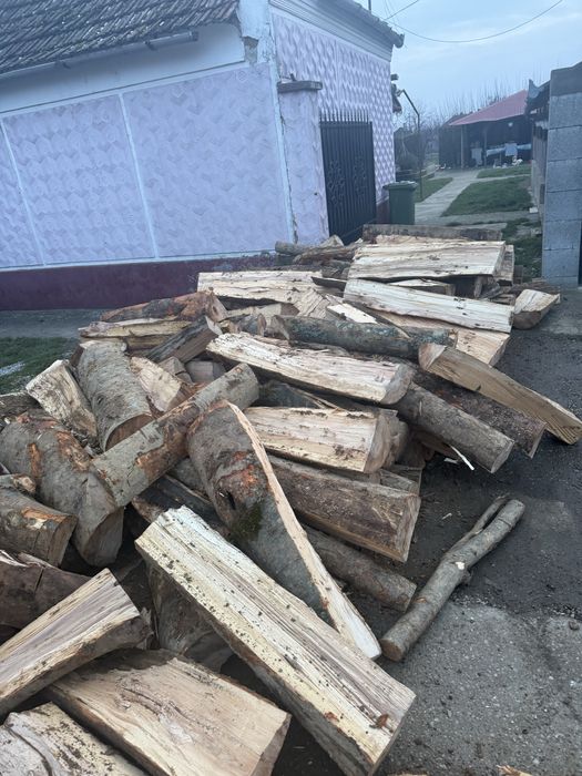 Vindem lemne de foc esențe tarii(fag,gorun,carpen,cer)