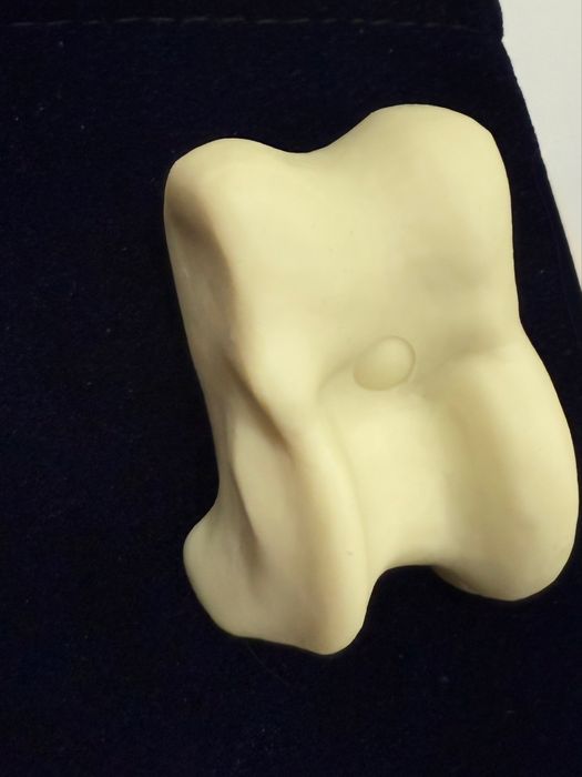 Сақа кәсіби солақай.