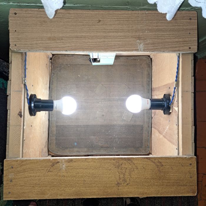 Инкубатор для яиц