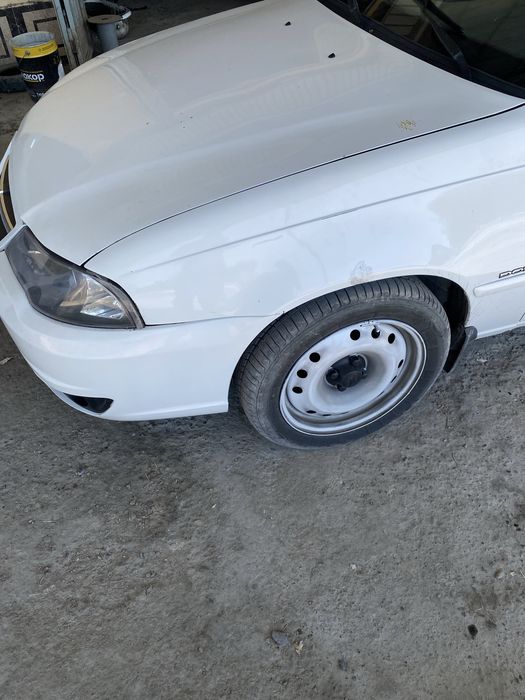 Qōqon balon diska r16
