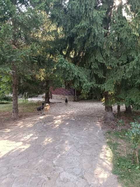 Vand proprietate pe malul raului Teleajen