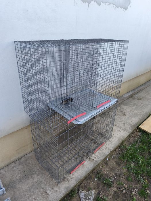 Cușcă prepelițe,pui!