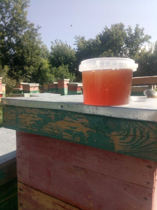 Продам Мёд натуральный 2025 года