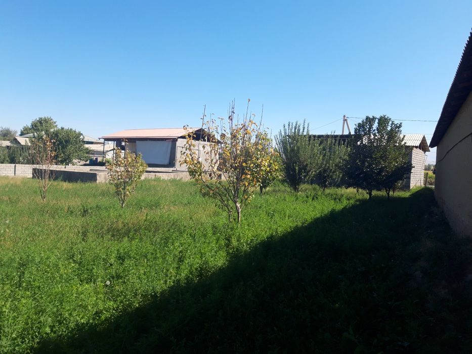 Участок 16 соток.