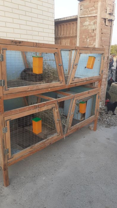 Куен клетка сотилади срочно.