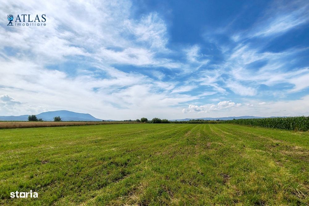 Loturi rezidențiale Cavalului, 500-700 mp, PUZ, utilități, Stupini