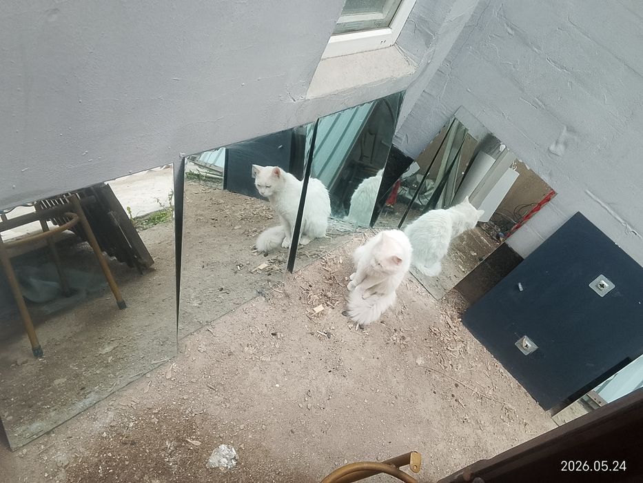 Срочно продам зеркала