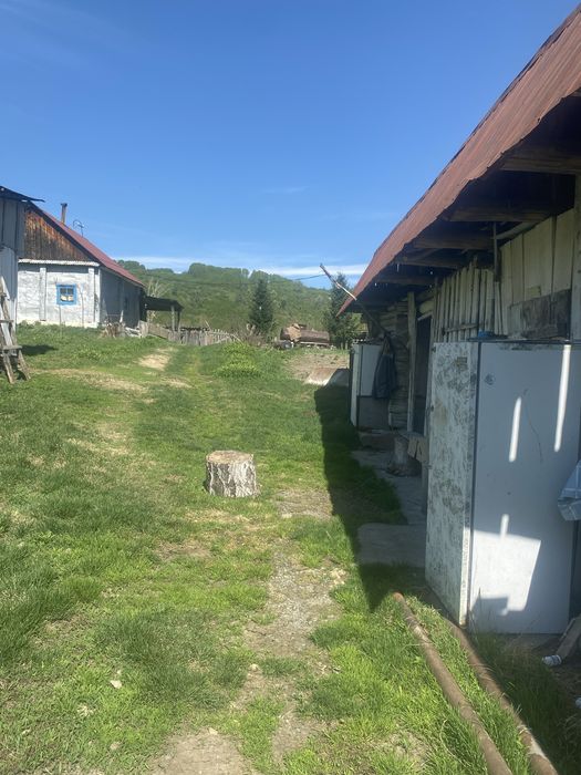 Продам крестьянское хозяйство!