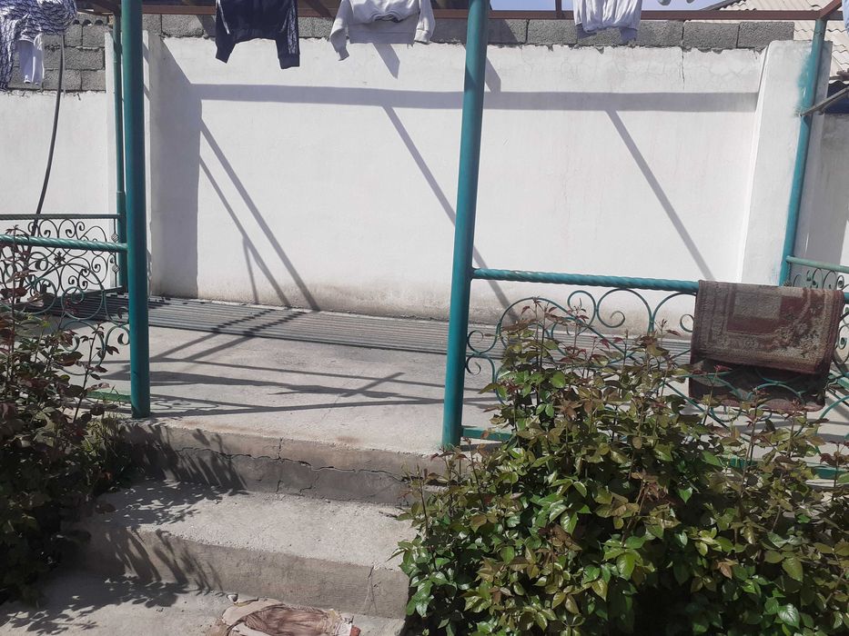 провнастил 16500