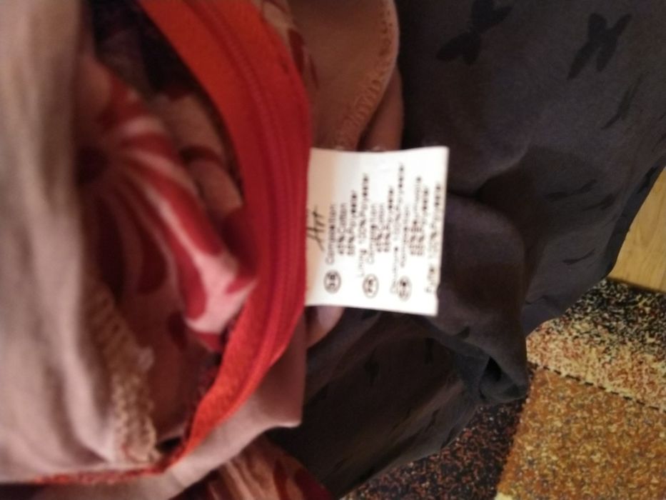 Rochita gogosar House of Art